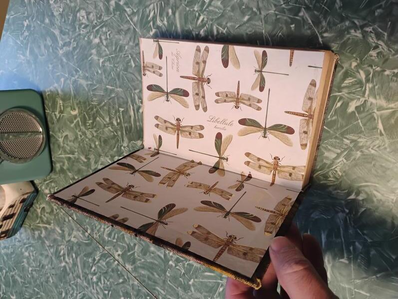 A photo of the completed book open to show the end page that features drawings of dragonflies. Dragonflies do not have anything to do with the book. At least I don't think they do. I don't know. I don't read German very well.